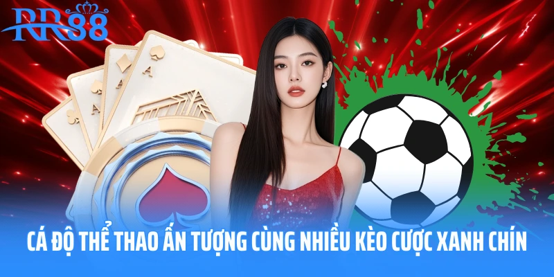 Cá độ thể thao ấn tượng cùng nhiều kèo cược xanh chín